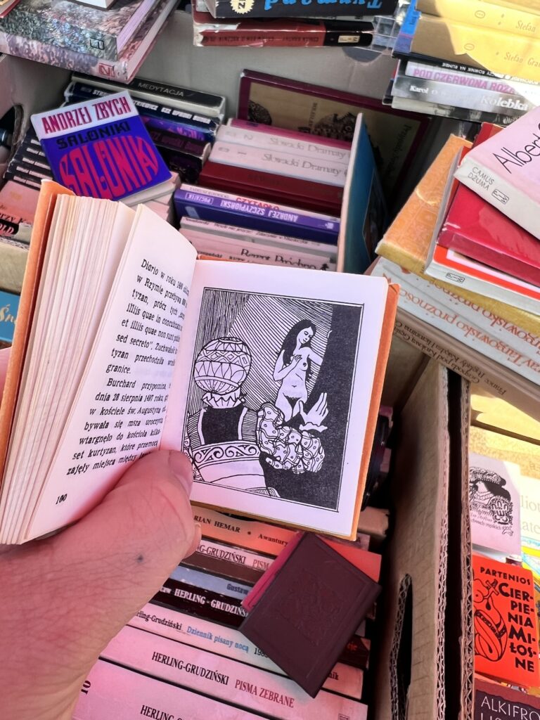 Photo: Little book with black-white illustration. On illustration young, naked woman and man in turban with his back turned. In the background piles of books.